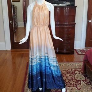 Vince Camuto backless maxi dress.